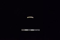 藏品(陶環)的圖片